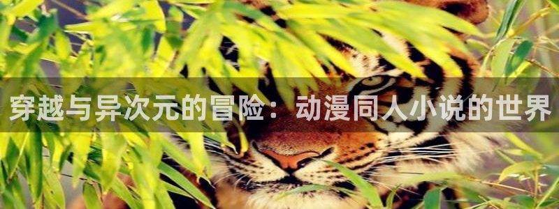 韩国漫画平台kakaopage