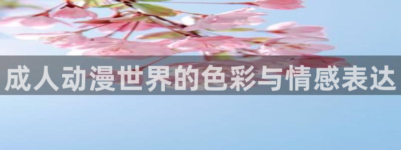 age专注动漫的门户网站：成人动漫世界的色彩与情感表达