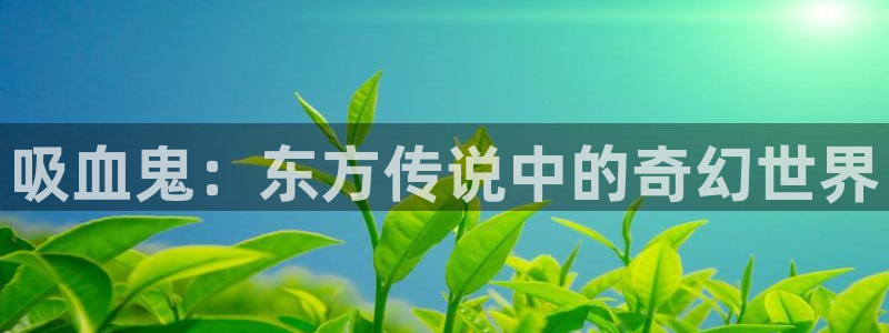 age动漫网官网入口：吸血鬼：东方传说中的奇幻世界