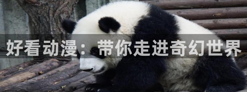 age动漫官网在线入口：好看动漫：带你走进奇幻世界