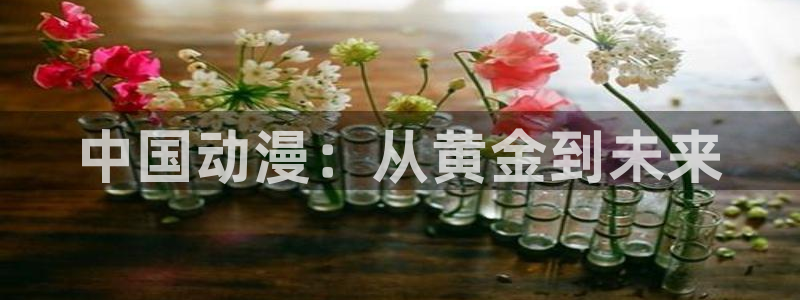 下载age动漫：中国动漫：从黄金到未来