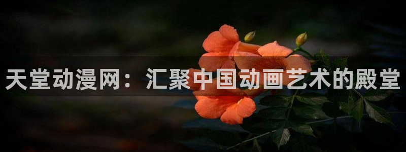 age动漫官网樱花动漫：天堂动漫网：汇聚中国动画艺术的殿堂