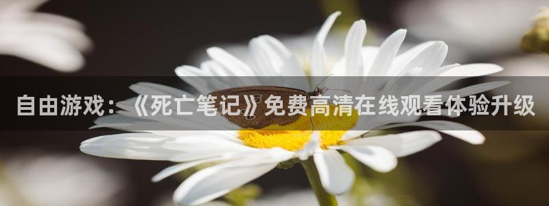 下载age动漫：自由游戏：《死亡笔记》免费高清在线观看体验升级