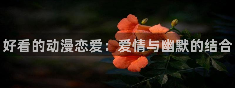 下载age动漫：好看的动漫恋爱：爱情与幽默的结合