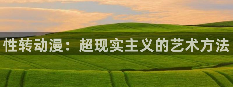 age漫画网：性转动漫：超现实主义的艺术方法