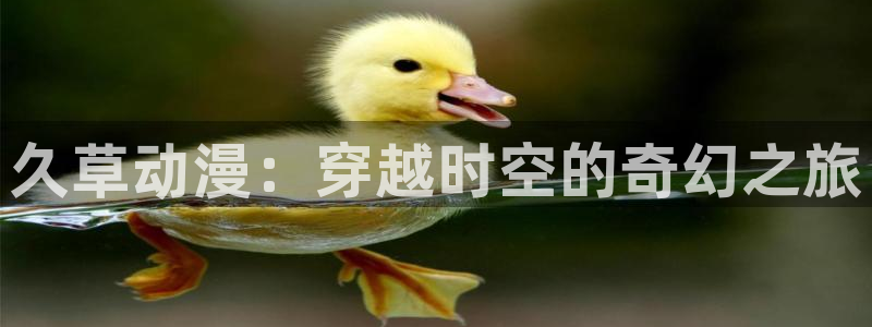 age动漫正版网