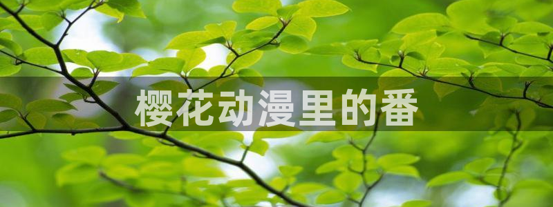 age动漫下载