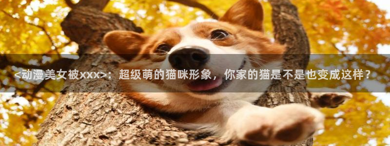 kakaopage韩漫官网