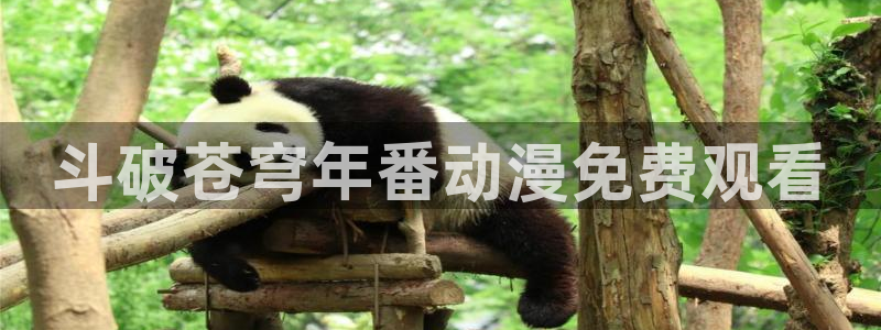 age动漫下载网