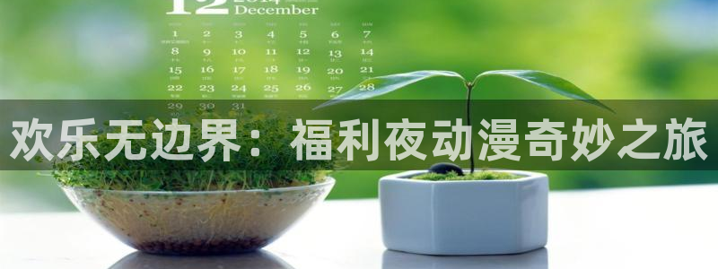 age动漫网