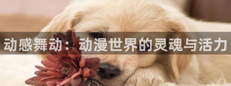下载age动漫