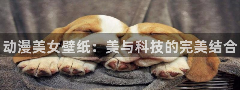 managereader漫画官网入口