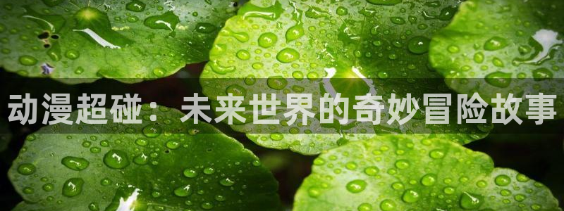 managereader漫画官网入口