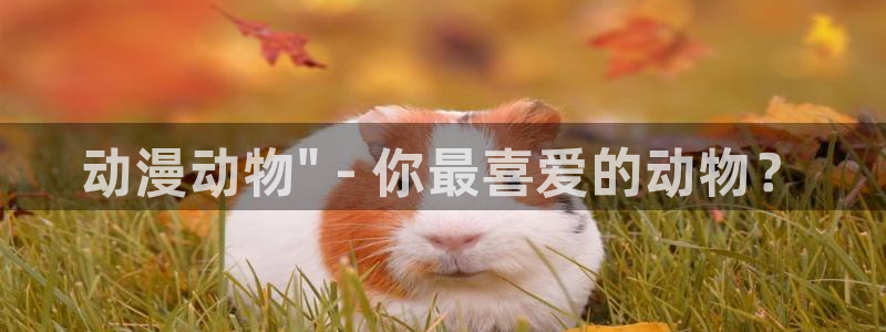 在线动画动漫下载age动漫
