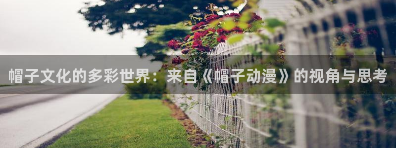volcanicage漫画：帽子文化的多彩世界：来自《帽子动漫》的视角与思考