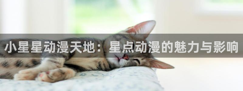 age漫画网：小星星动漫天地：星点动漫的魅力与影响
