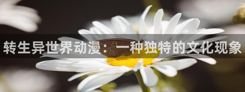 age动漫网上看：转生异世界动漫：一种独特的文化现象